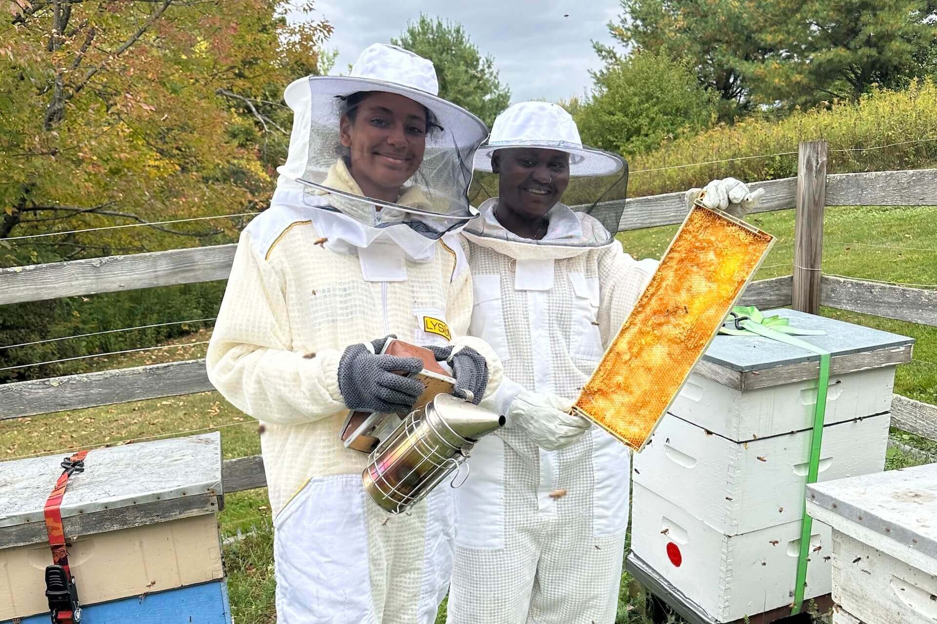 Beekeeping - suits and comb crop