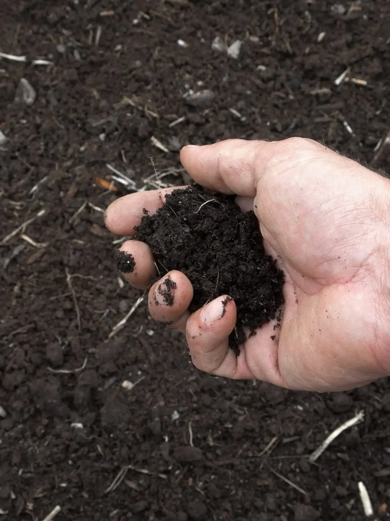 Secret is in the soil